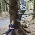 Ra-ra and Harry up a tree, Walks Around Benbulben and Carrowmore, County Sligo, Ireland - 13th August 2021