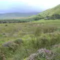 Purple heather, Walks Around Benbulben and Carrowmore, County Sligo, Ireland - 13th August 2021