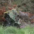 A multi-coloured cluster of vegetation, Walks Around Benbulben and Carrowmore, County Sligo, Ireland - 13th August 2021