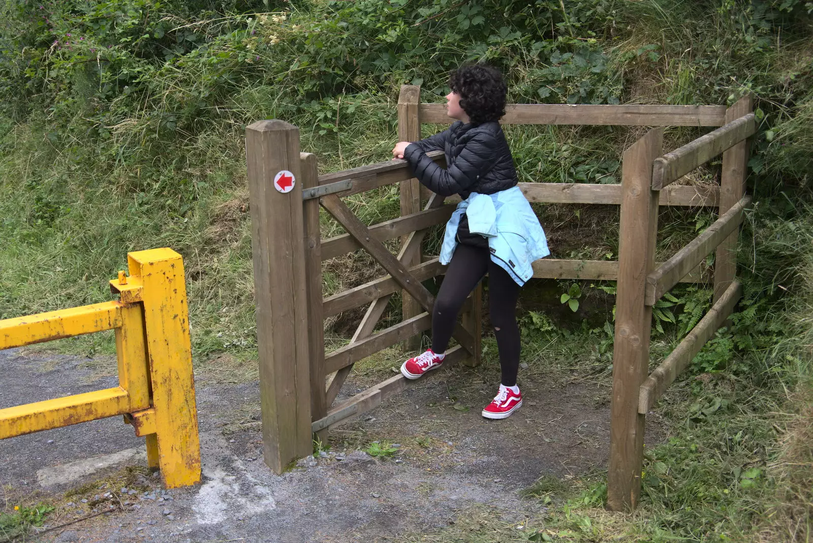 Fern hangs out on a gate, from Walks Around Benbulben and Carrowmore, County Sligo, Ireland - 13th August 2021