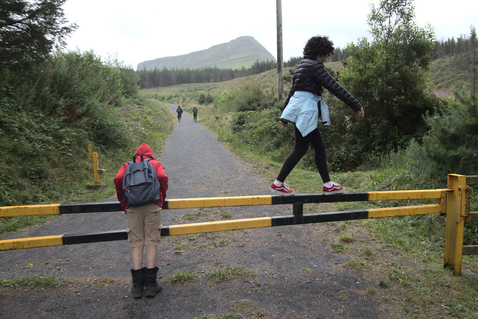 Fern walks on a barrier from Walks Around Benbulben and Carrowmore, County Sligo, Ireland - 13th August 2021