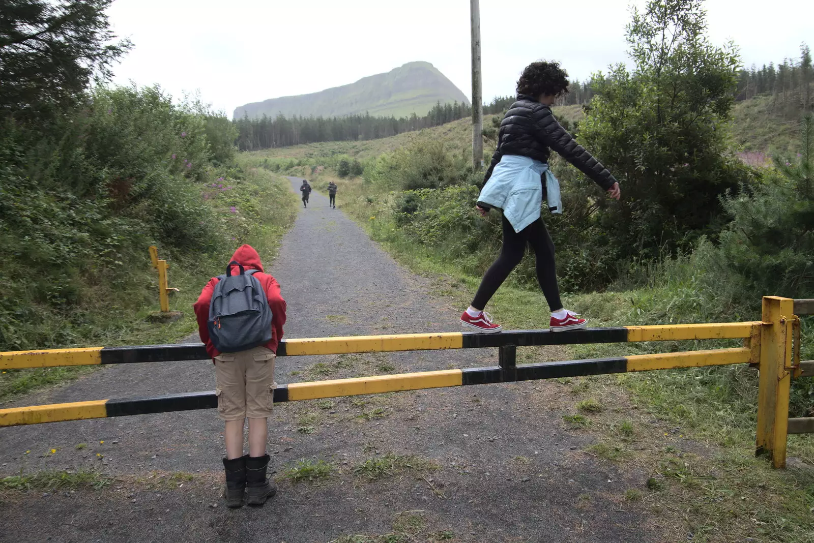 Fern walks on a barrier, from Walks Around Benbulben and Carrowmore, County Sligo, Ireland - 13th August 2021