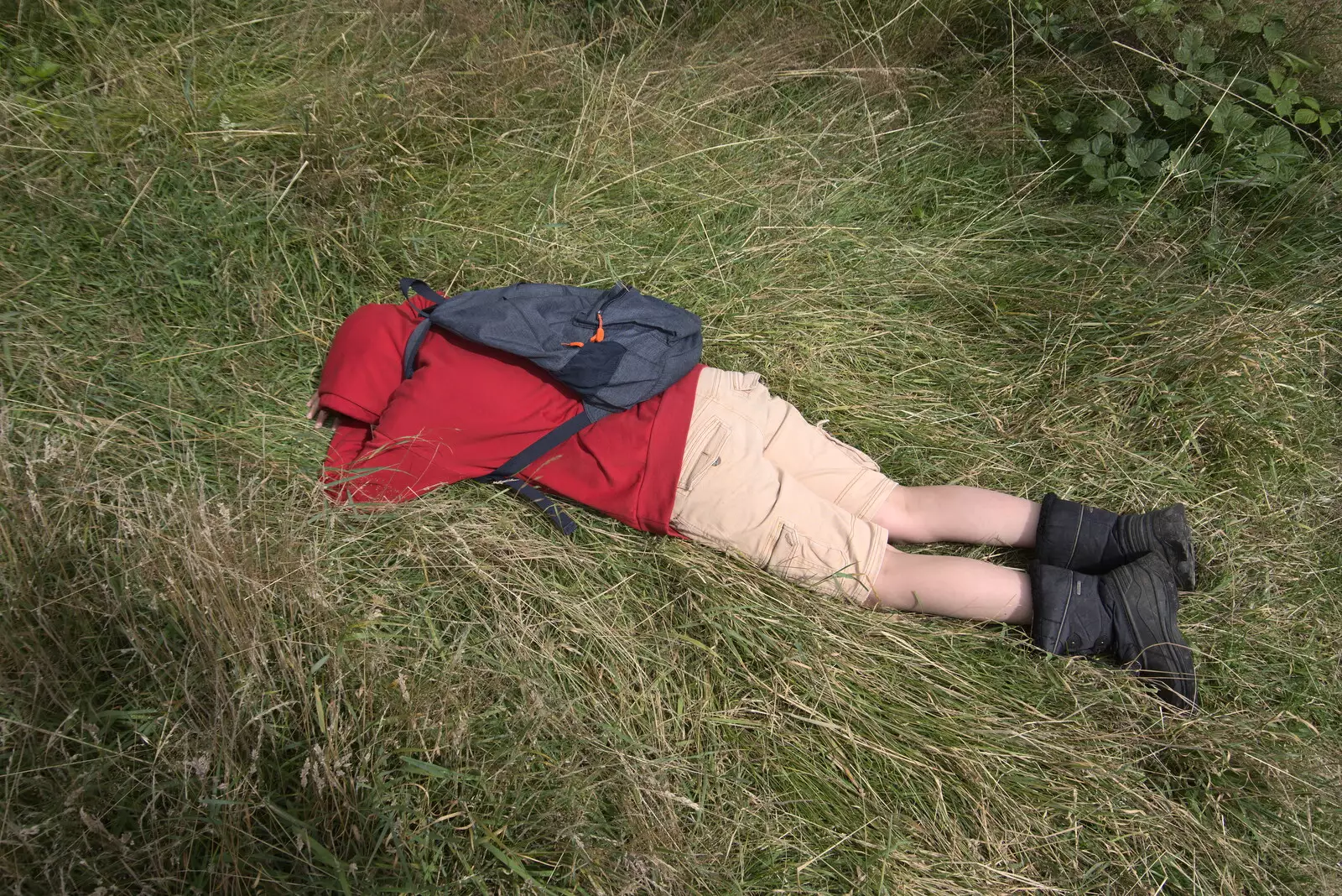 Fred has a rest in the grass, from Walks Around Benbulben and Carrowmore, County Sligo, Ireland - 13th August 2021