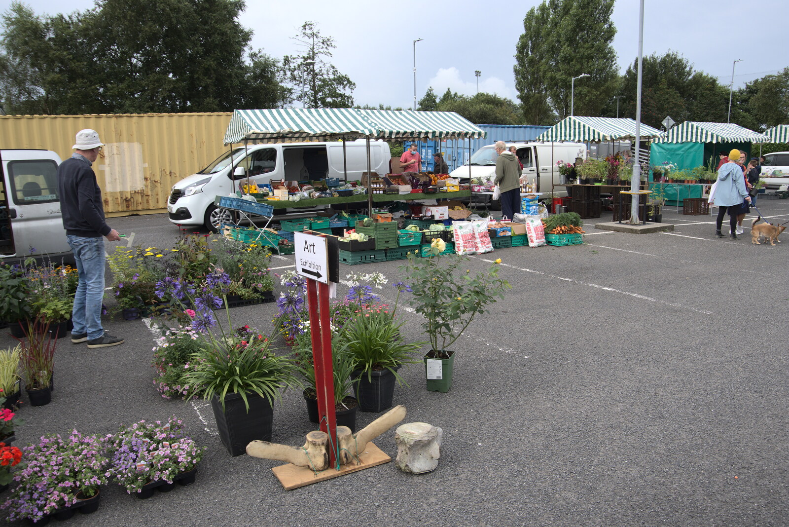 A flower and plant stall from Manorhamilton and the Street Art of Dún Laoghaire, Ireland - 15th August 2021