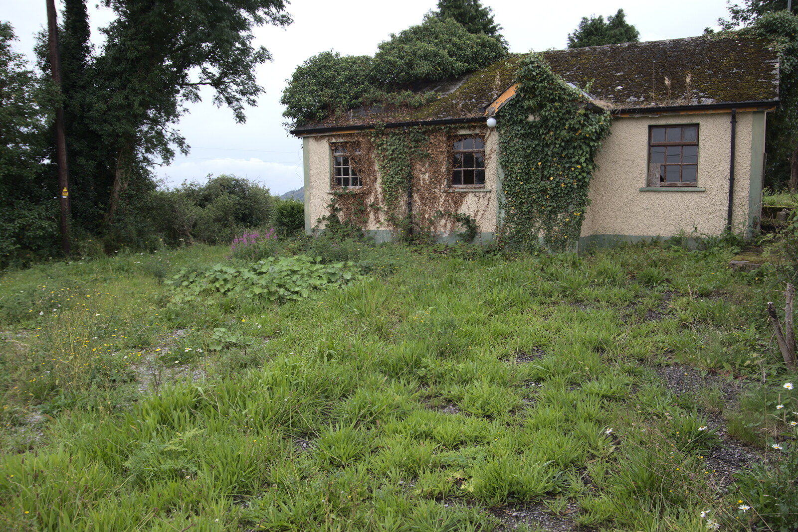 A derelict cottage from Manorhamilton and the Street Art of Dún Laoghaire, Ireland - 15th August 2021