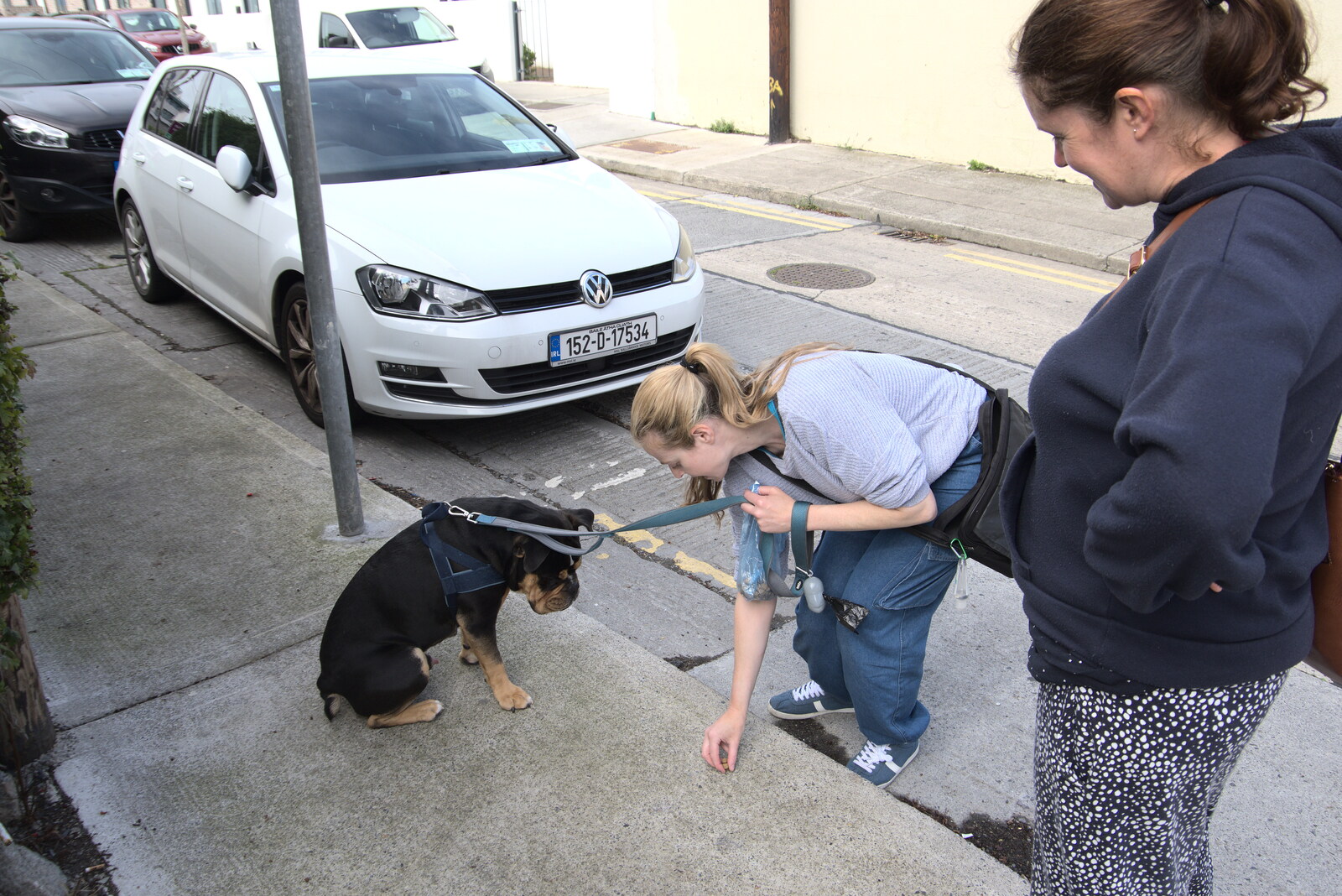We meet up with Jen and her dog, Bear from Manorhamilton and the Street Art of Dún Laoghaire, Ireland - 15th August 2021