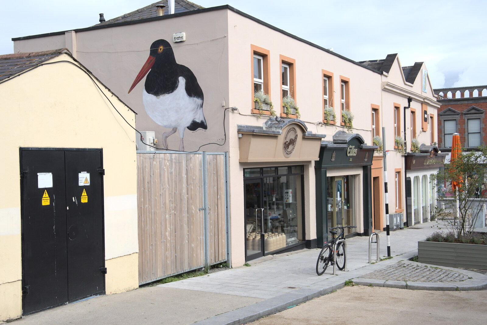 More bird art from Manorhamilton and the Street Art of Dún Laoghaire, Ireland - 15th August 2021