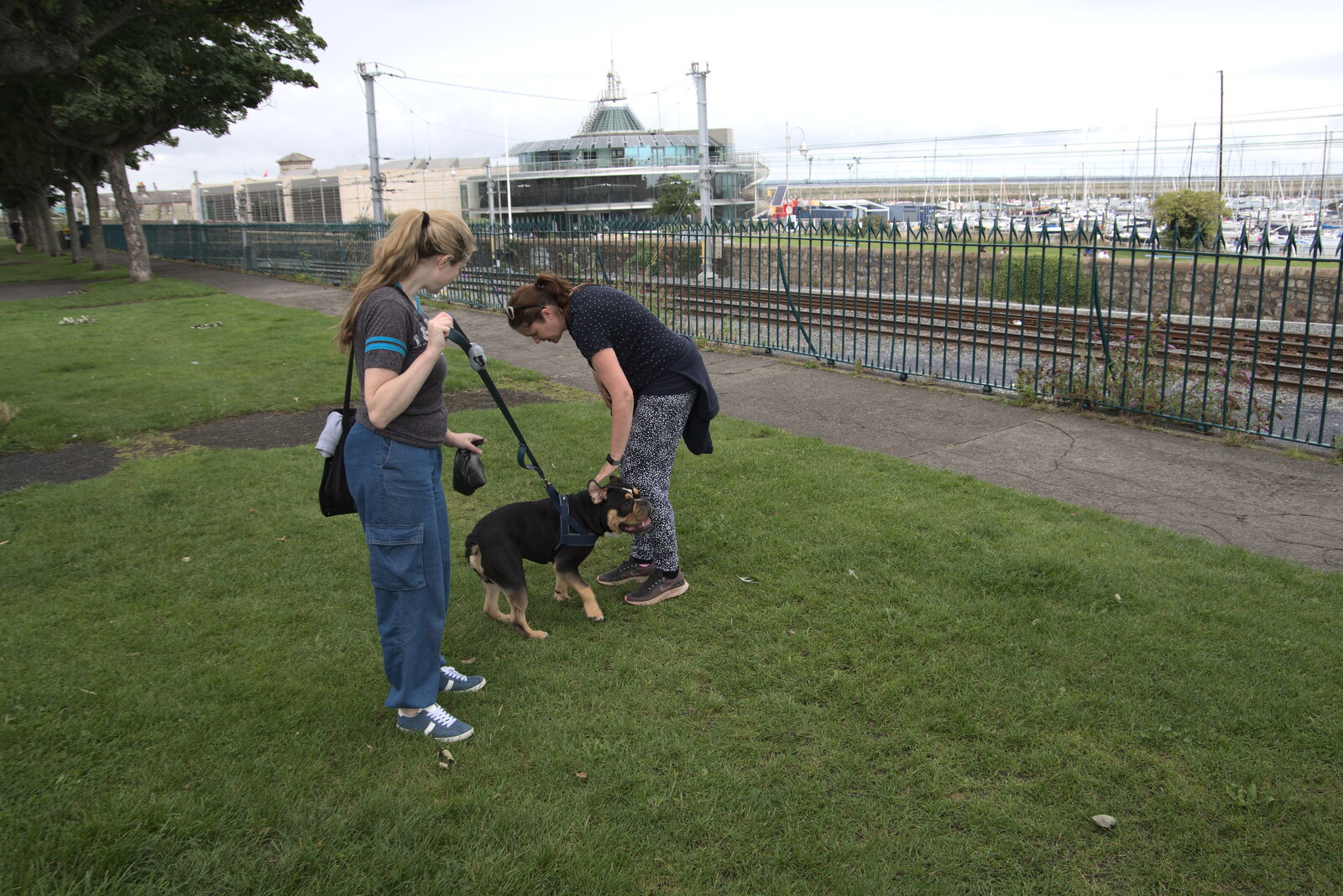 Bear gets a final scratch from Isobel from Manorhamilton and the Street Art of Dún Laoghaire, Ireland - 15th August 2021
