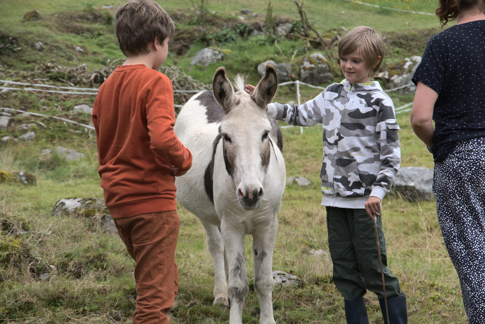 The boys meet the donkeys from A Trip to Noddy's, and Dublin City Centre, Wicklow and Dublin, Ireland - 16th August 2021