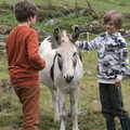 The boys meet the donkeys, A Trip to Noddy's, and Dublin City Centre, Wicklow and Dublin, Ireland - 16th August 2021