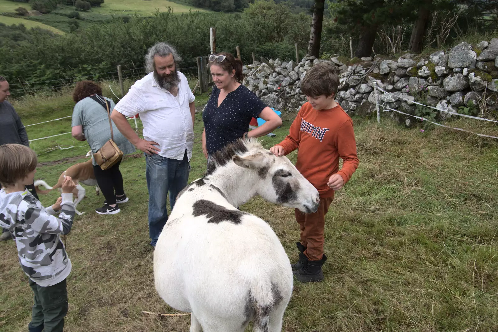 Fred gives Zeus a scratch, from A Trip to Noddy's, and Dublin City Centre, Wicklow and Dublin, Ireland - 16th August 2021