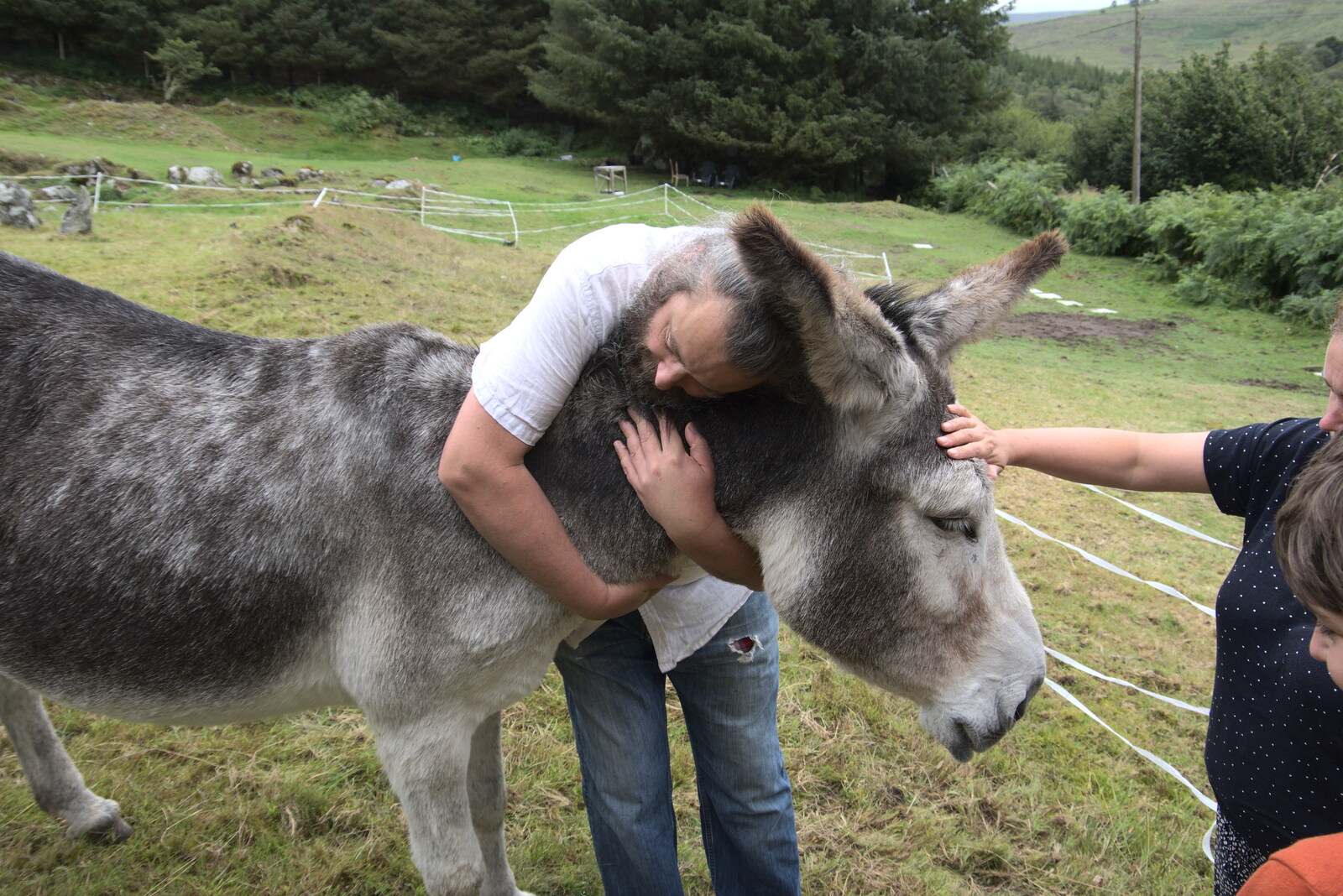 Noddy gives a donkey a hug from A Trip to Noddy's, and Dublin City Centre, Wicklow and Dublin, Ireland - 16th August 2021