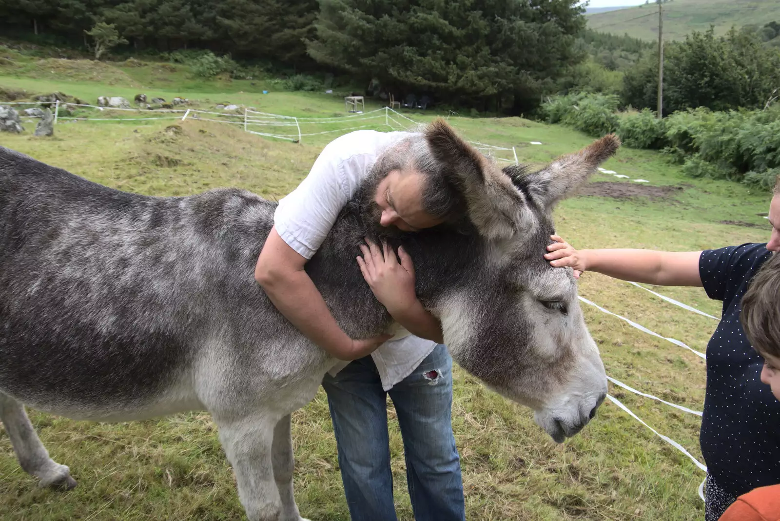 Noddy gives a donkey a hug, from A Trip to Noddy's, and Dublin City Centre, Wicklow and Dublin, Ireland - 16th August 2021