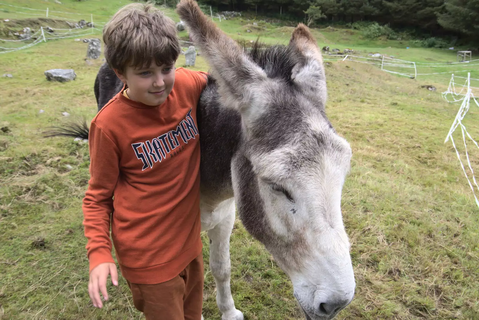 Fred has a go with the donkey hugging, from A Trip to Noddy's, and Dublin City Centre, Wicklow and Dublin, Ireland - 16th August 2021