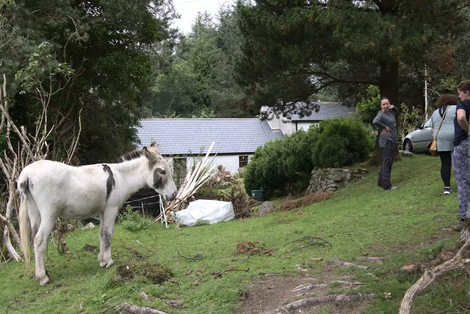 A donkey follows us back to the house, from A Trip to Noddy's, and Dublin City Centre, Wicklow and Dublin, Ireland - 16th August 2021