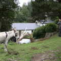 2021 A donkey follows us back to the house