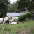 A donkey follows us back to the house, A Trip to Noddy's, and Dublin City Centre, Wicklow and Dublin, Ireland - 16th August 2021