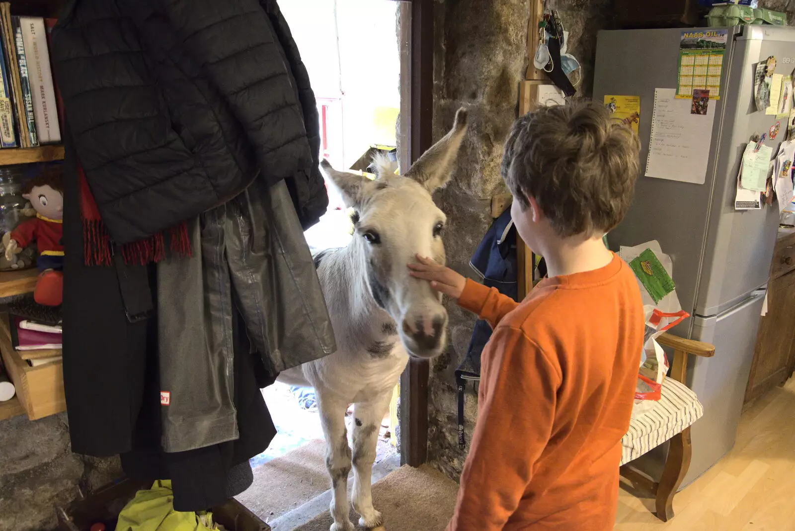 The donkey comes into the kitchen, from A Trip to Noddy's, and Dublin City Centre, Wicklow and Dublin, Ireland - 16th August 2021