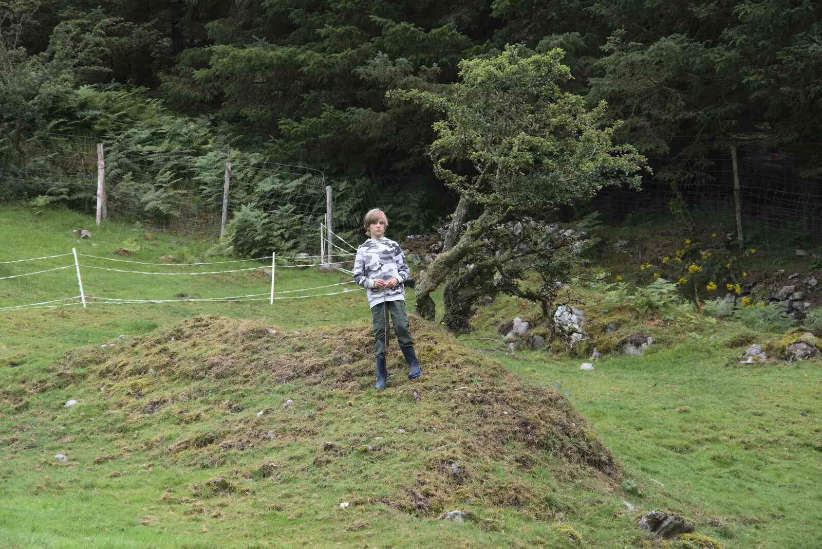 Harry stands on a small hill, from A Trip to Noddy's, and Dublin City Centre, Wicklow and Dublin, Ireland - 16th August 2021