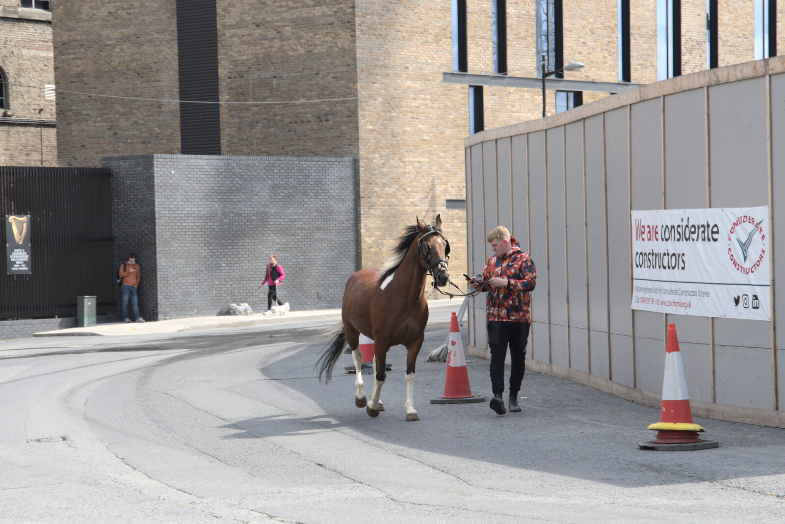 A horse goes for a walk from The Guinness Storehouse Tour, St. James's Gate, Dublin, Ireland - 17th August 2021