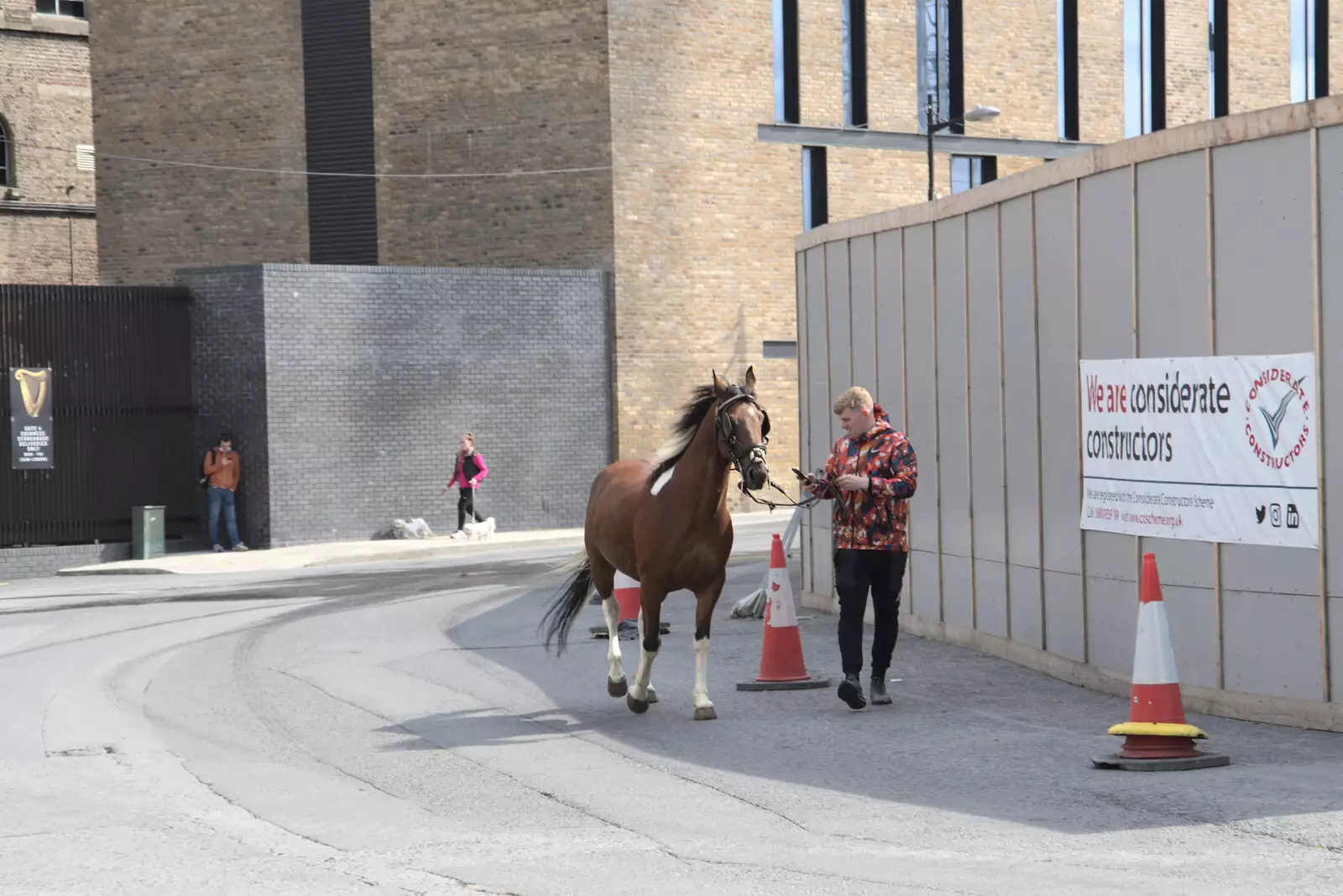 A horse goes for a walk, from The Guinness Storehouse Tour, St. James's Gate, Dublin, Ireland - 17th August 2021