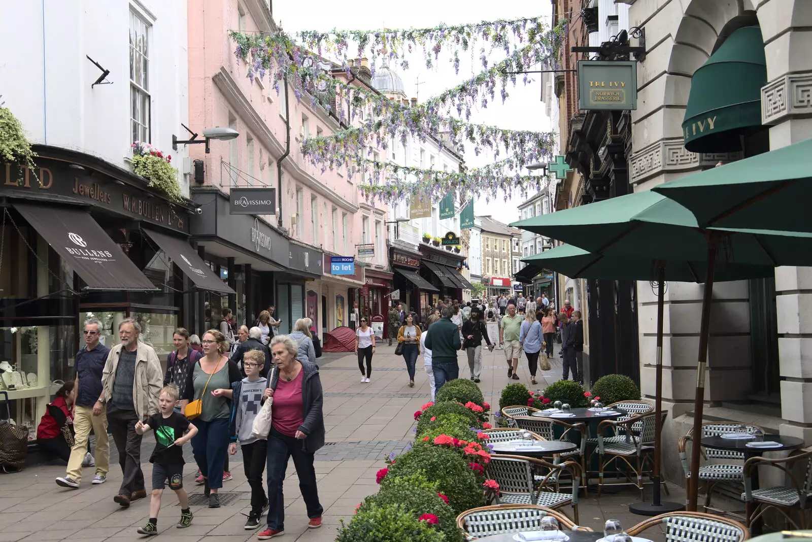 Wisteria hangs over London Street, from Dippy and the City Dinosaur Trail, Norwich, Norfolk - 19th August 2021