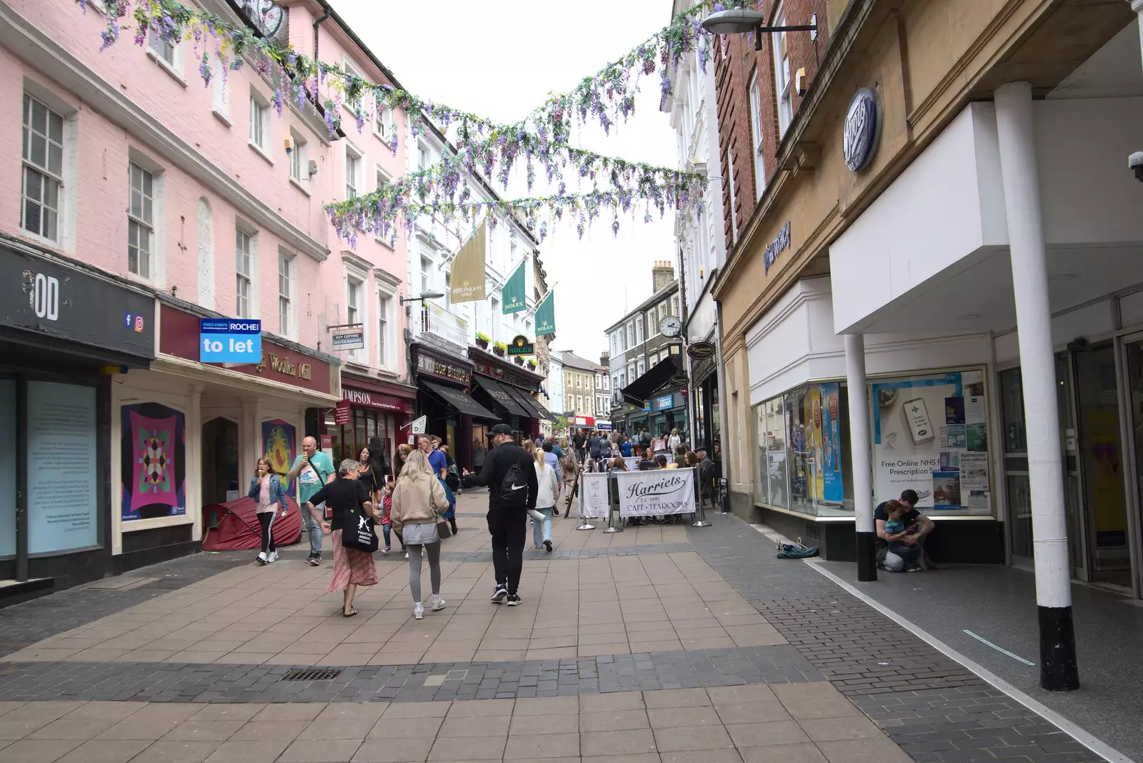 More wisteria on London Street, from Dippy and the City Dinosaur Trail, Norwich, Norfolk - 19th August 2021