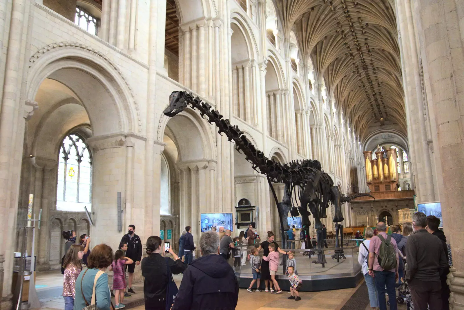 Dippy the diplodocus in Norwich Cathedral, from Dippy and the City Dinosaur Trail, Norwich, Norfolk - 19th August 2021