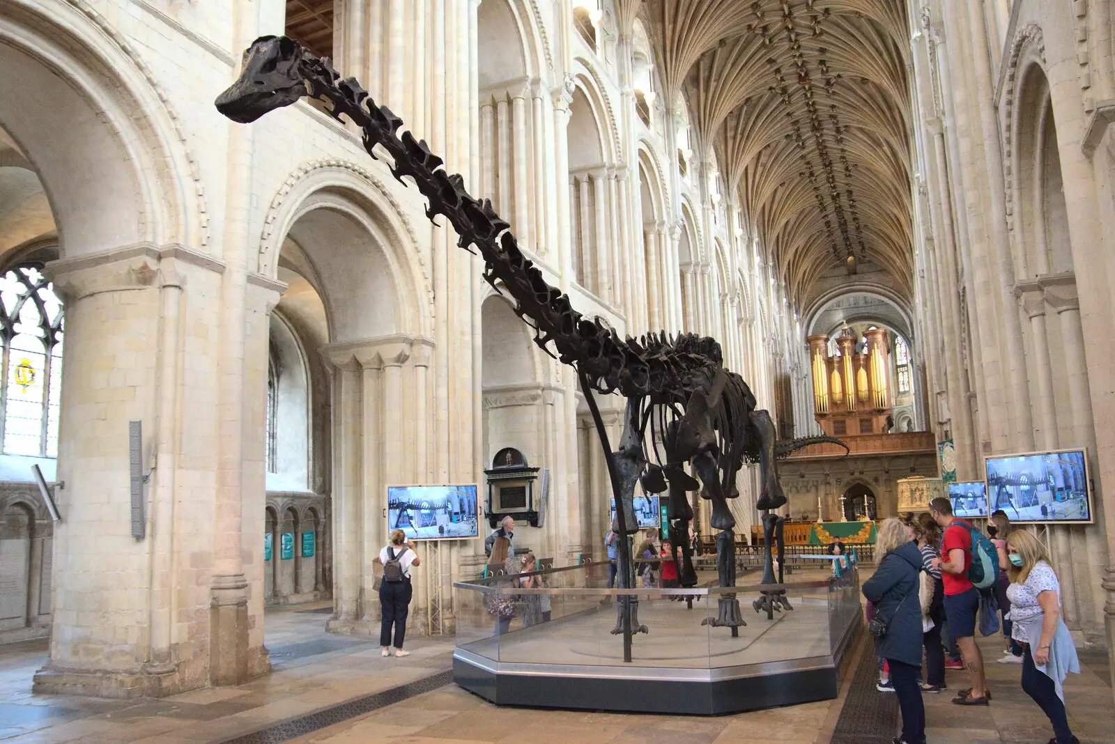 The crowd subsides for a brief moment, from Dippy and the City Dinosaur Trail, Norwich, Norfolk - 19th August 2021