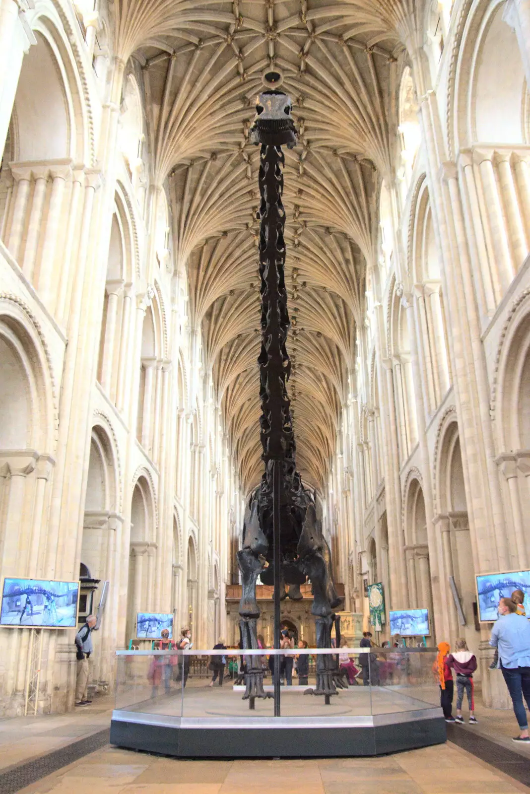 A head-on view, from Dippy and the City Dinosaur Trail, Norwich, Norfolk - 19th August 2021