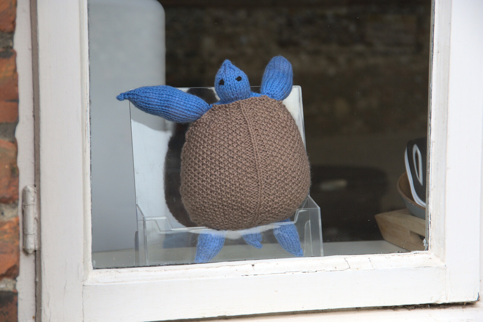 A knitted turtle in a window from Dippy and the City Dinosaur Trail, Norwich, Norfolk - 19th August 2021