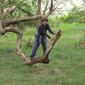 Fred bounces around on the spring branch, An Open Day at the Windmill, Billingford, Norfolk - 21st August 2021