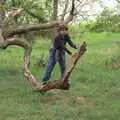 Fred bounces around on the spring branch, An Open Day at the Windmill, Billingford, Norfolk - 21st August 2021