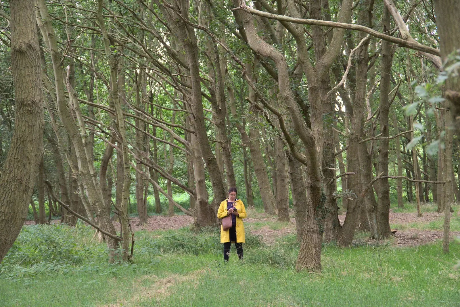 Isobel does her phone in the woods, from An Open Day at the Windmill, Billingford, Norfolk - 21st August 2021