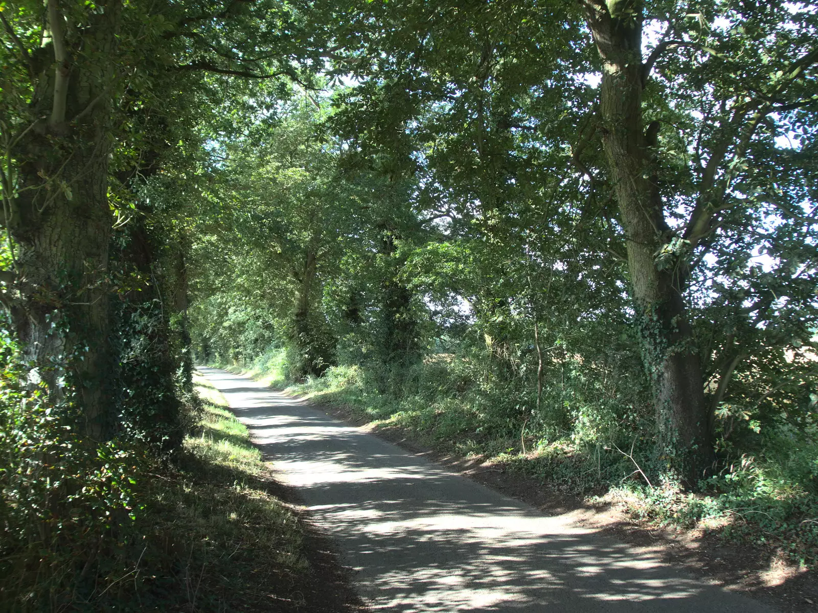 The road to Thornham gets some Autumnal hints, from Maui Waui Festival, Hill Farm, Gressenhall, Norfolk - 28th August 2021