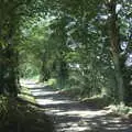 The road to Thornham gets some Autumnal hints, Maui Waui Festival, Hill Farm, Gressenhall, Norfolk - 28th August 2021