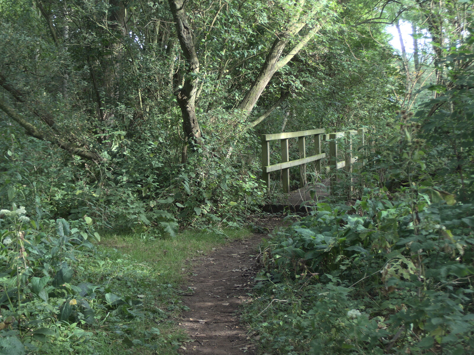 The Last Weavers Ever, Market Hill, Diss, Norfolk - 10th September 2021: A bridge over a stream in the Town Moors woods