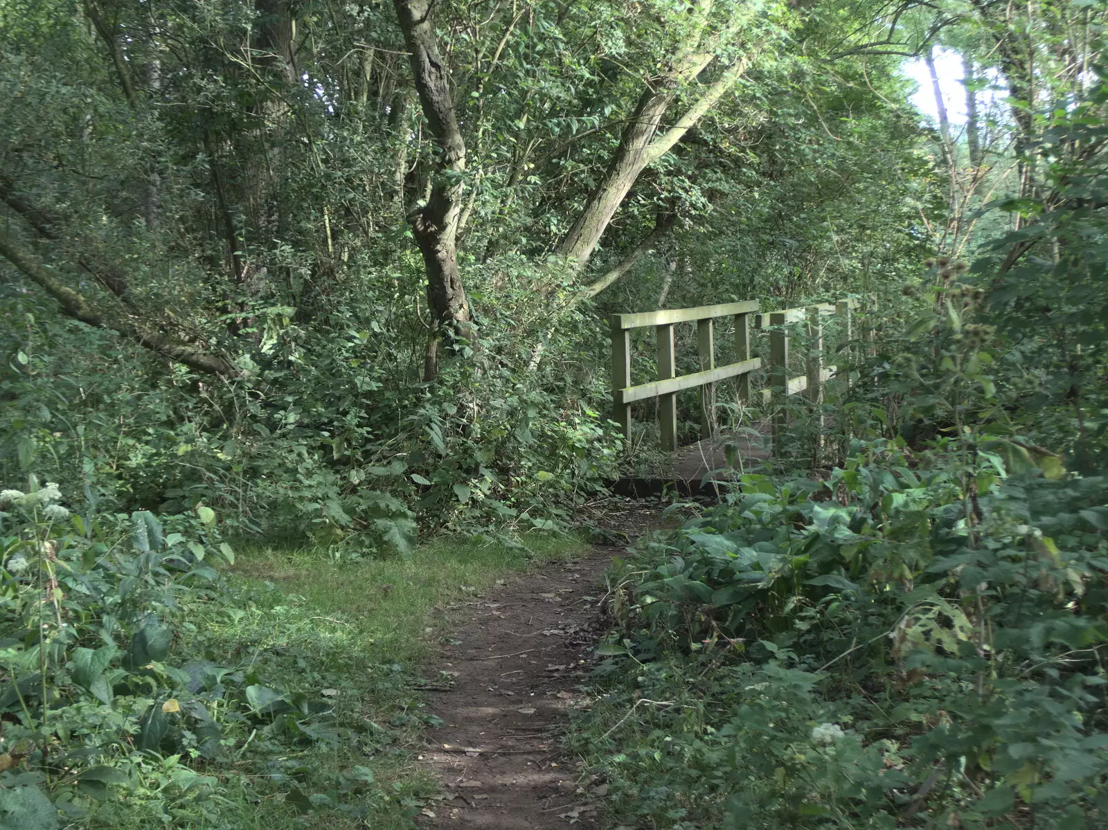 A bridge over a stream in the Town Moors woods, from The Last Weavers Ever, Market Hill, Diss, Norfolk - 10th September 2021