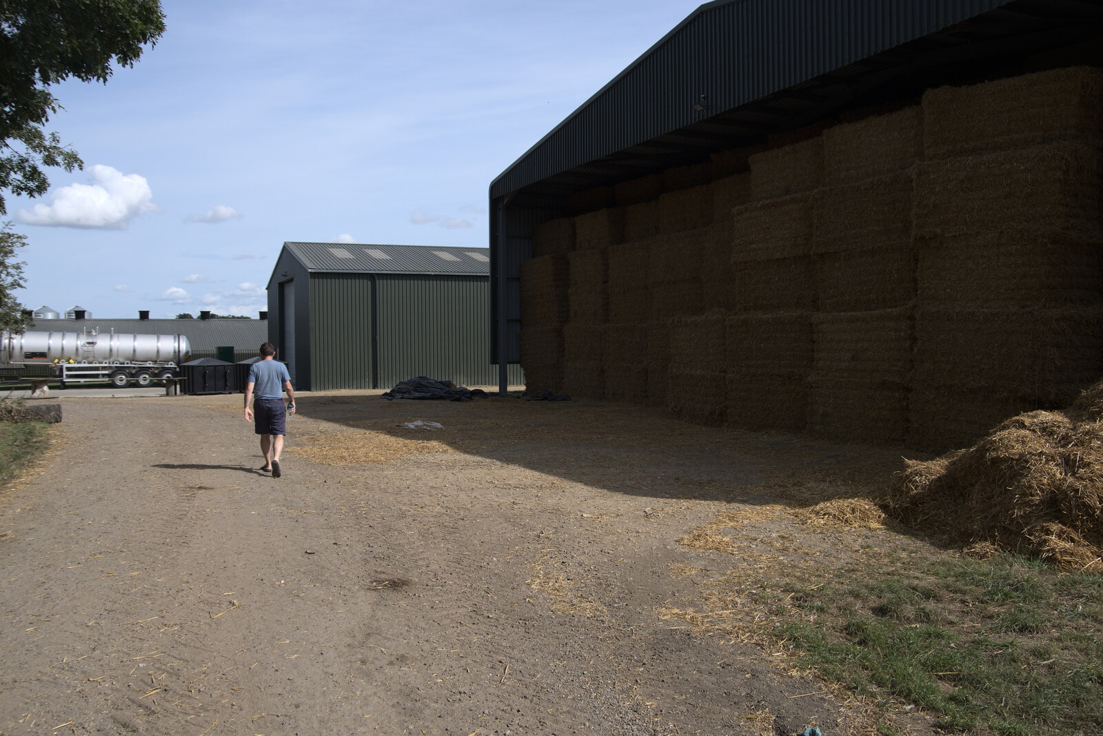 Clive roams around near the new chicken farm from A Summer Party and an Airfield Walk with Clive, Brome, Suffolk - 11th September 2021