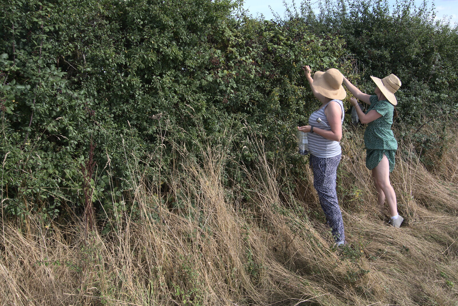Isobel and Suzanne pick blackberries from A Summer Party and an Airfield Walk with Clive, Brome, Suffolk - 11th September 2021