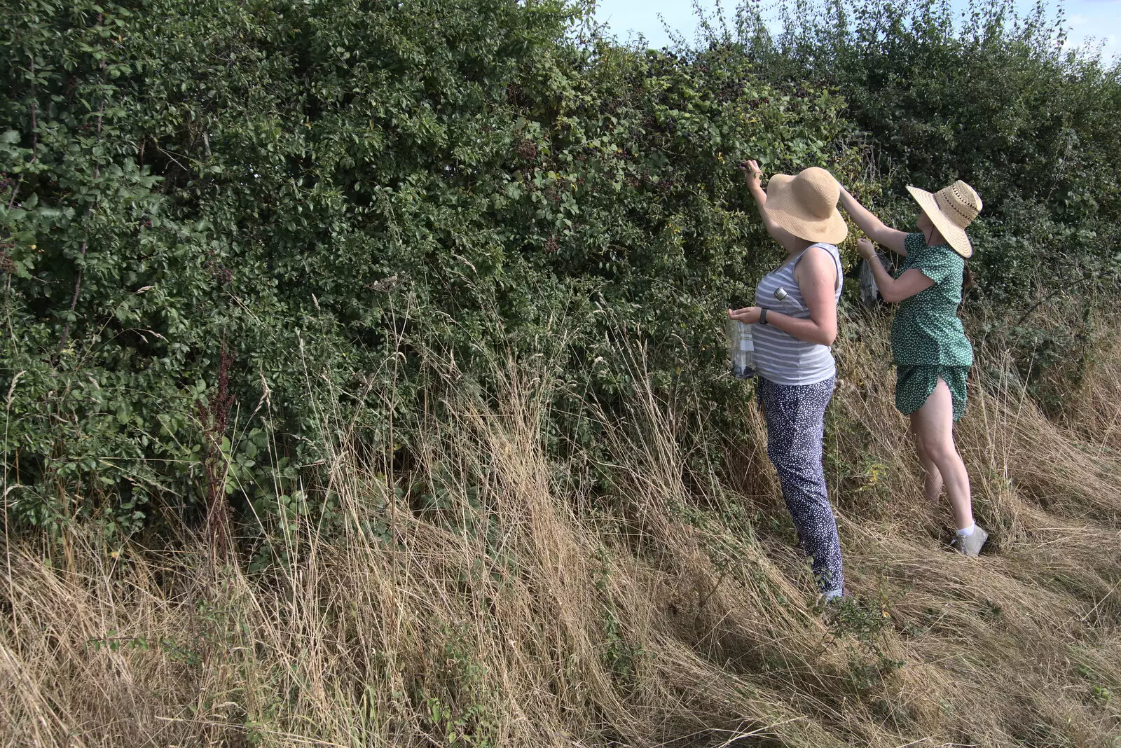 Isobel and Suzanne pick blackberries, from A Summer Party and an Airfield Walk with Clive, Brome, Suffolk - 11th September 2021