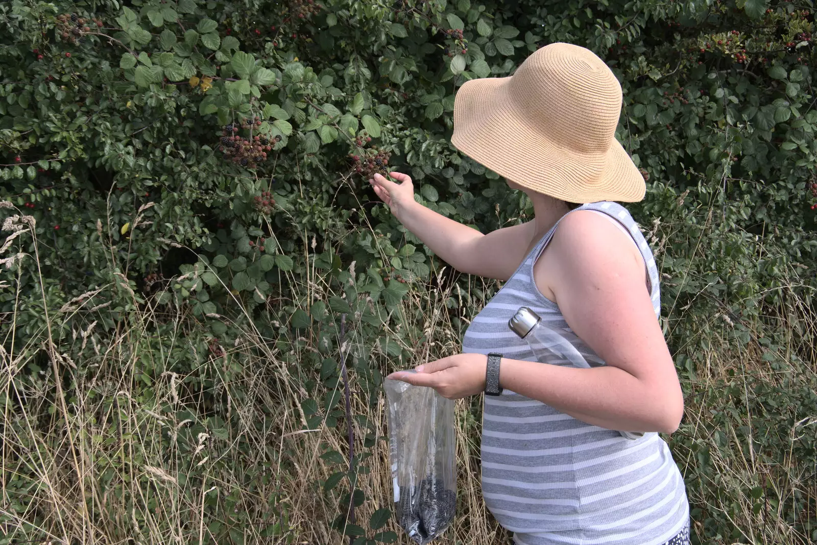 Isobel picks some blackberries, from A Summer Party and an Airfield Walk with Clive, Brome, Suffolk - 11th September 2021