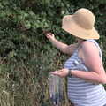 Isobel picks some blackberries, A Summer Party and an Airfield Walk with Clive, Brome, Suffolk - 11th September 2021