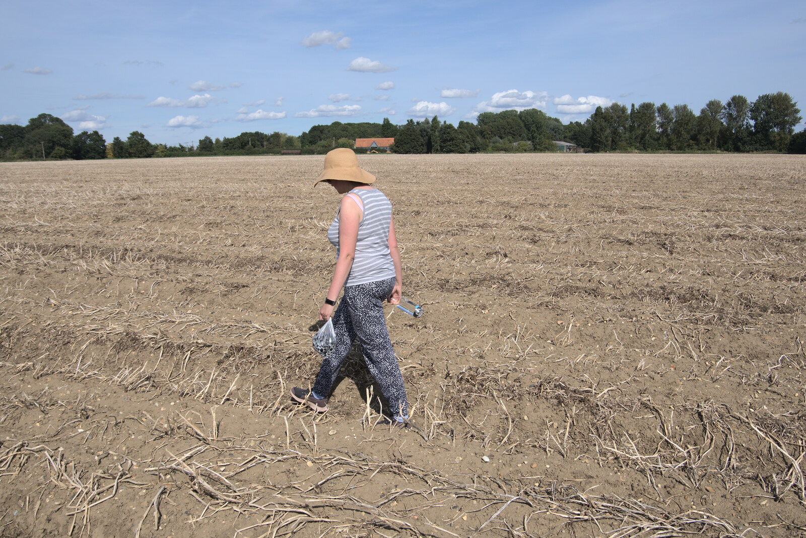 Isobel walks along the potato rows from A Summer Party and an Airfield Walk with Clive, Brome, Suffolk - 11th September 2021
