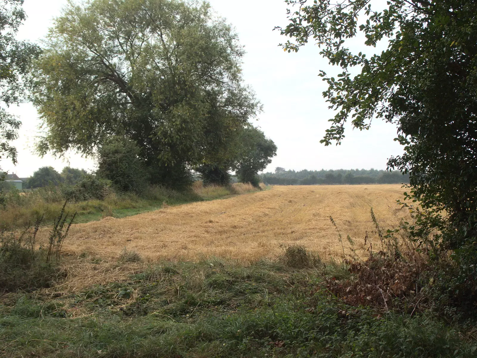 A view of a field in Gislingham, from The Brome and Oakley Fête, Oakley Hall, Suffolk - 19th September 2021