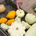 Funky squashes and gourds in a tray, The Brome and Oakley Fête, Oakley Hall, Suffolk - 19th September 2021