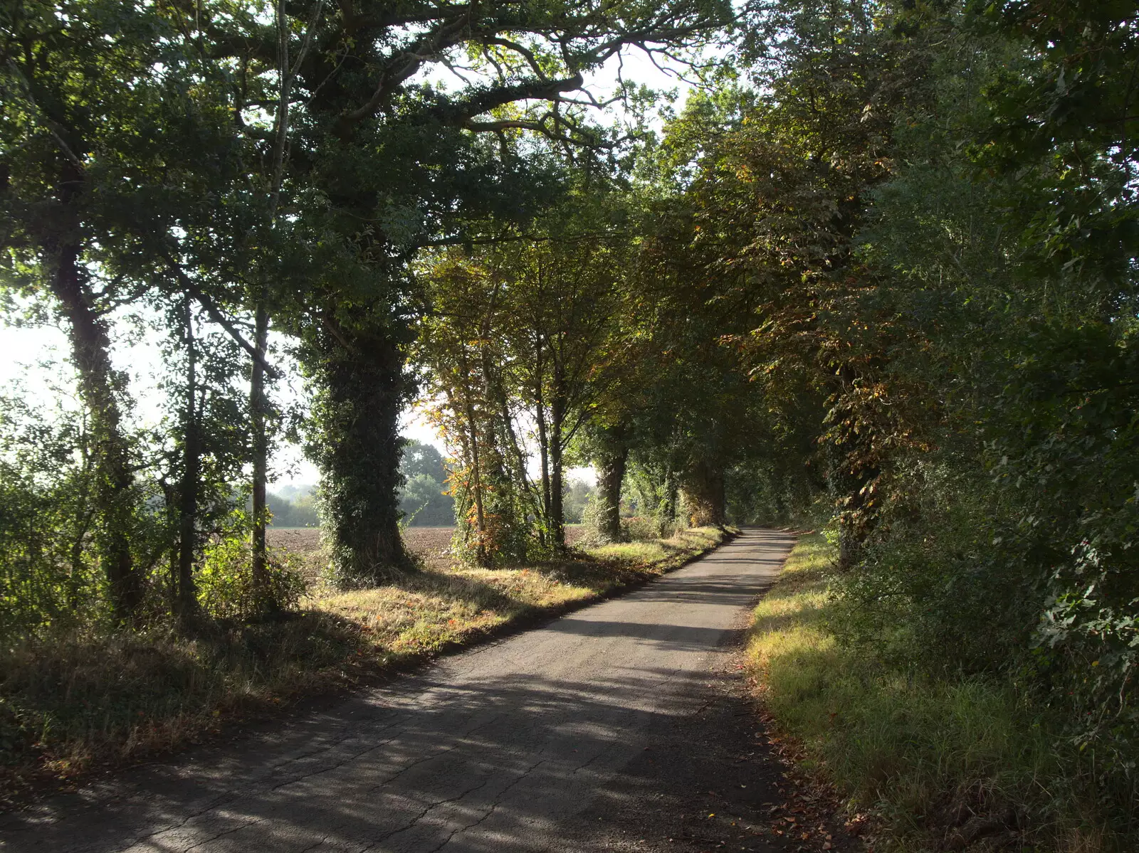 The road to Thornham is getting autumnal, from BSCC at Ampersand and Birthday Lego at Jarrold's, Norwich, Norfolk - 25th September 2021