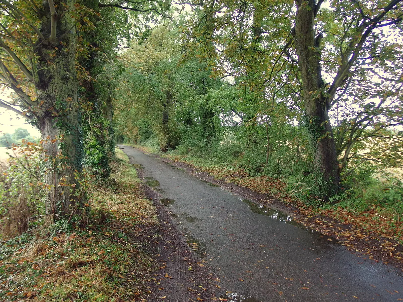 The road to Thornham, from Sunday Lunch at the Village Hall, Brome, Suffolk - 10th October 2021