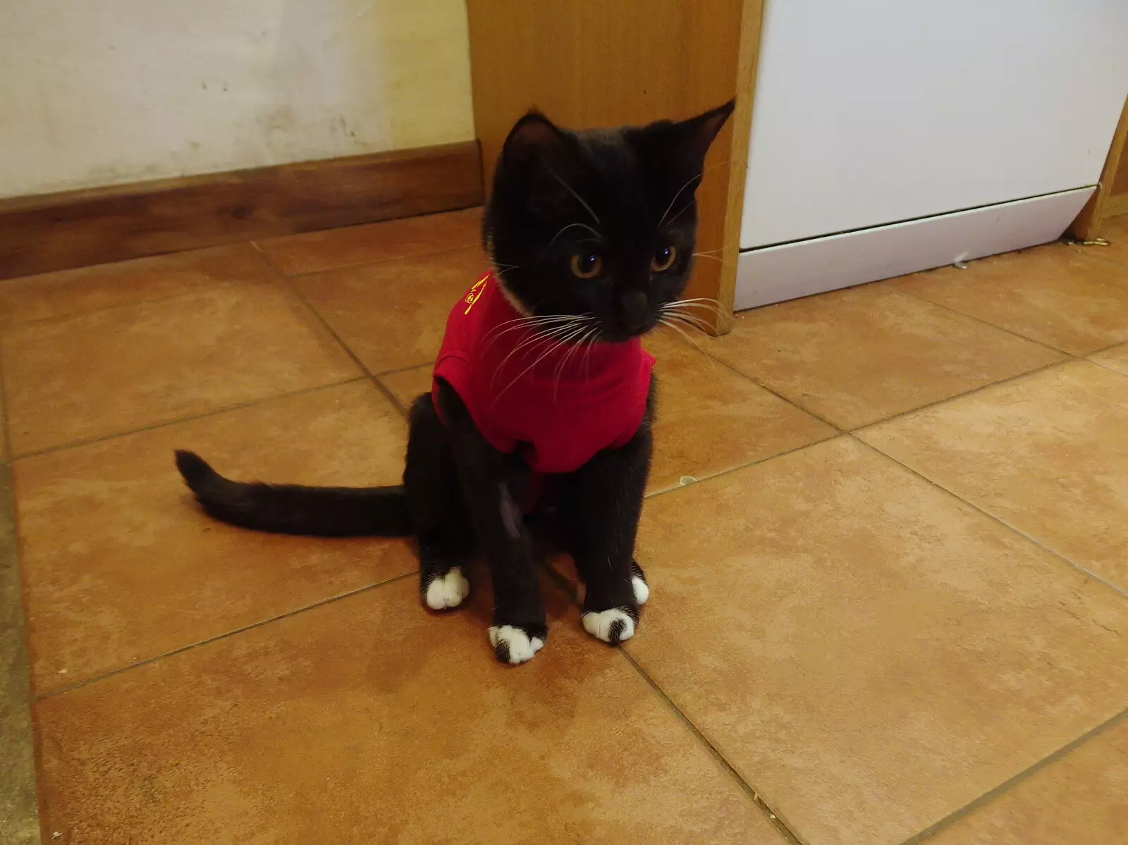 Molly sits around in her protective pyjamas, from Sunday Lunch at the Village Hall, Brome, Suffolk - 10th October 2021