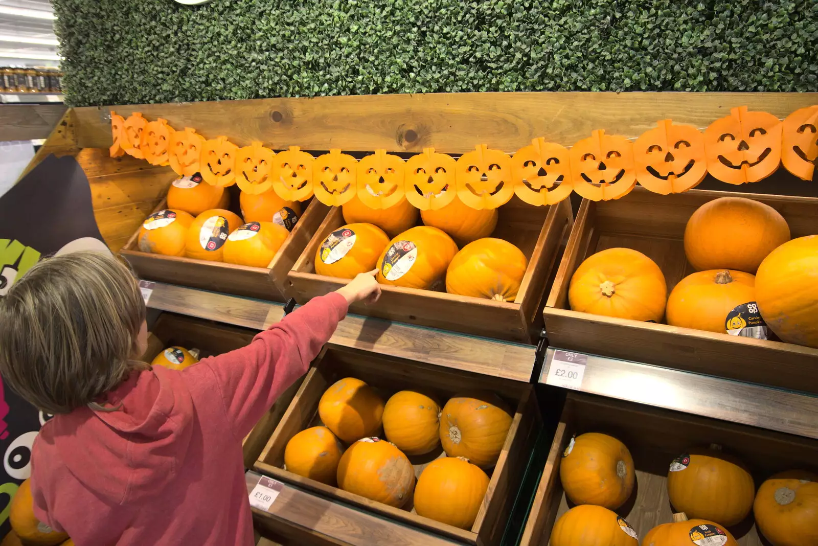 Harry picks a pumpkin out, from A Trip to Weybread Sailing Club, Harleston, Norfolk - 17th October 2021